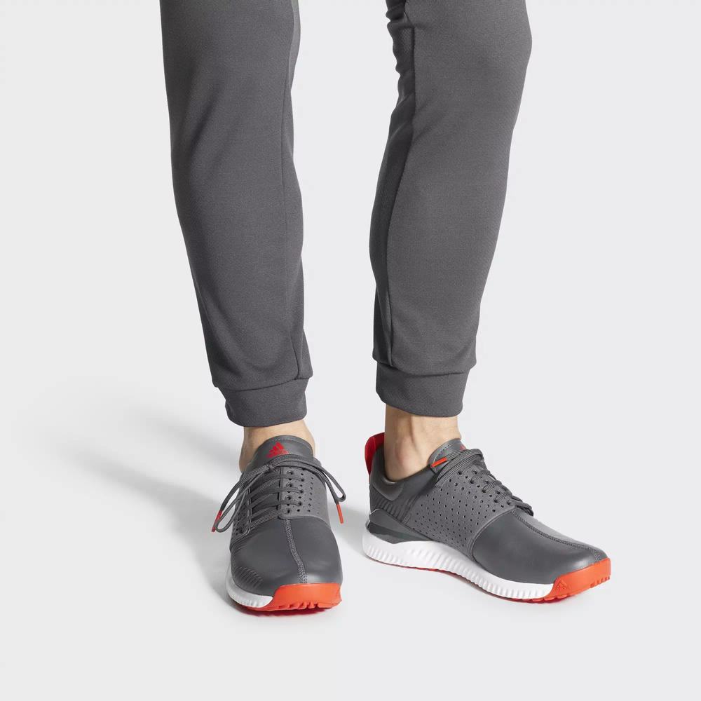 Adidas Adicross Bounce Tenis De Golf Grises Para Hombre (MX-45105)